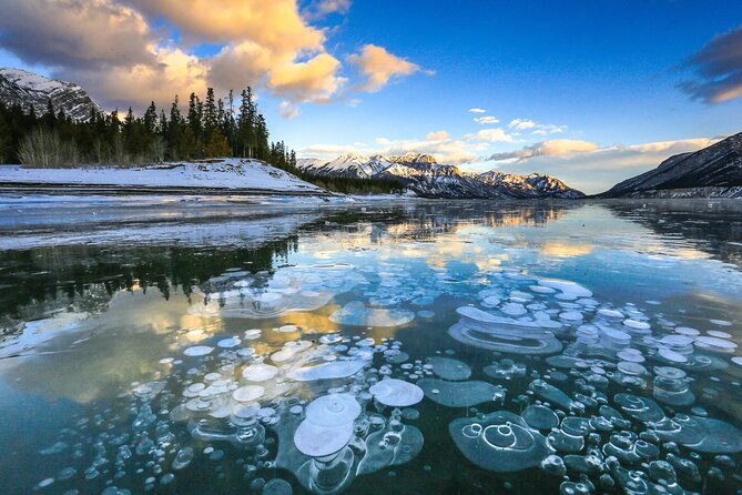 Icefields Parkway and Ice Bubbles of Abraham Lake Adventure - The Icefields Parkway portion keeps the day flexible