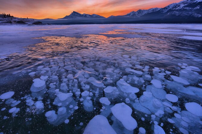 Icefields Parkway and Ice Bubbles of Abraham Lake Adventure - What the $196.40 price really covers