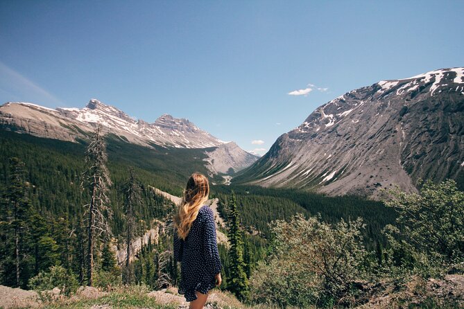 Icefields Parkway Highlights & Secrets | Award-Winning Adventure - Peyto Lake at Bow Summit
