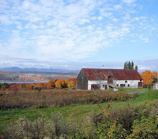 Island of Orleans Taste and Drink Tour - Key points to know before you go
