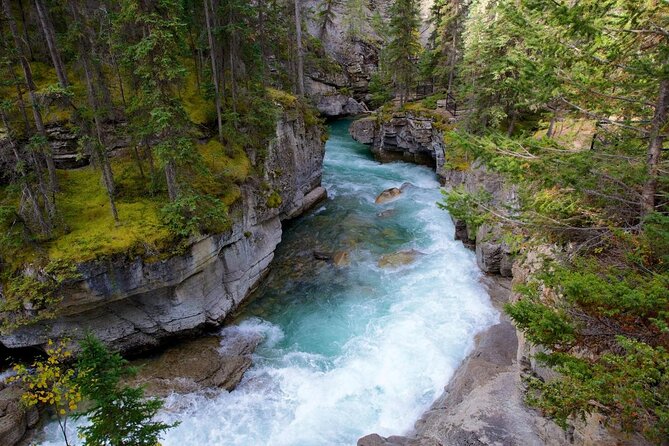 Jasper Ice Climbing Experience - Key points to know before booking