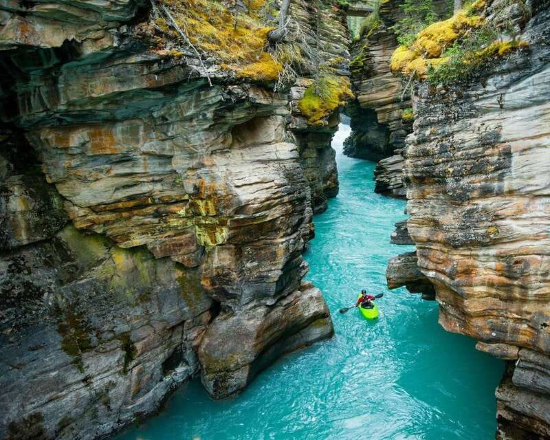 Jasper: Maligne Valley Wildlife & Spirit Island Cruise - Is $150 a good value?