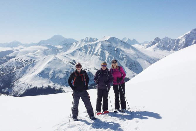 Jasper SkyTram - What the Jasper SkyTram actually offers