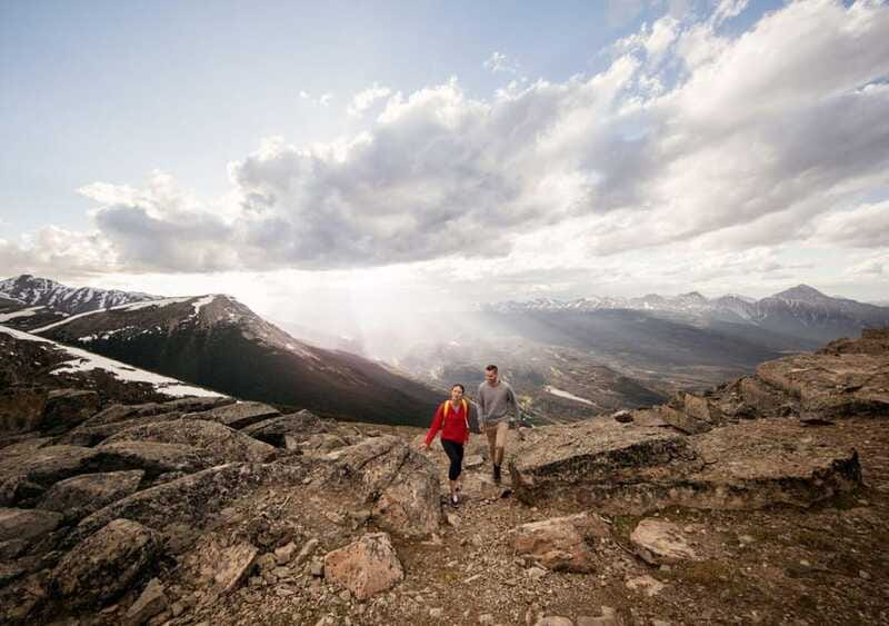 Jasper SkyTram Roundtrip Flight Ticket - Wildlife and the meaning of the view