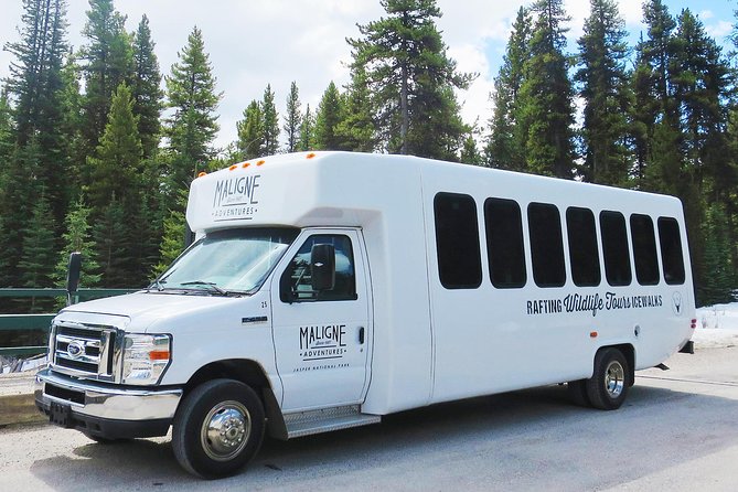 Jasper Wildlife and Sightseeing Tour with Maligne Lake Hike - The drive through prime wildlife country