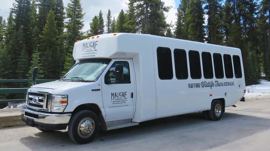 Jasper: Wildlife and Waterfalls Tour with Lakeshore Hike - Key points to know before booking
