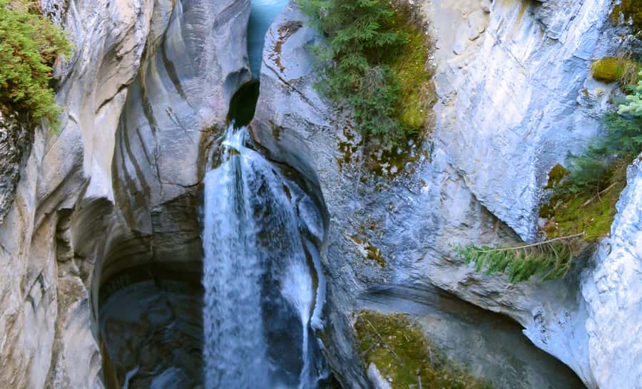 Jasper: Wildlife and Waterfalls Tour with Lakeshore Hike - Medicine Lake and its disappearing water