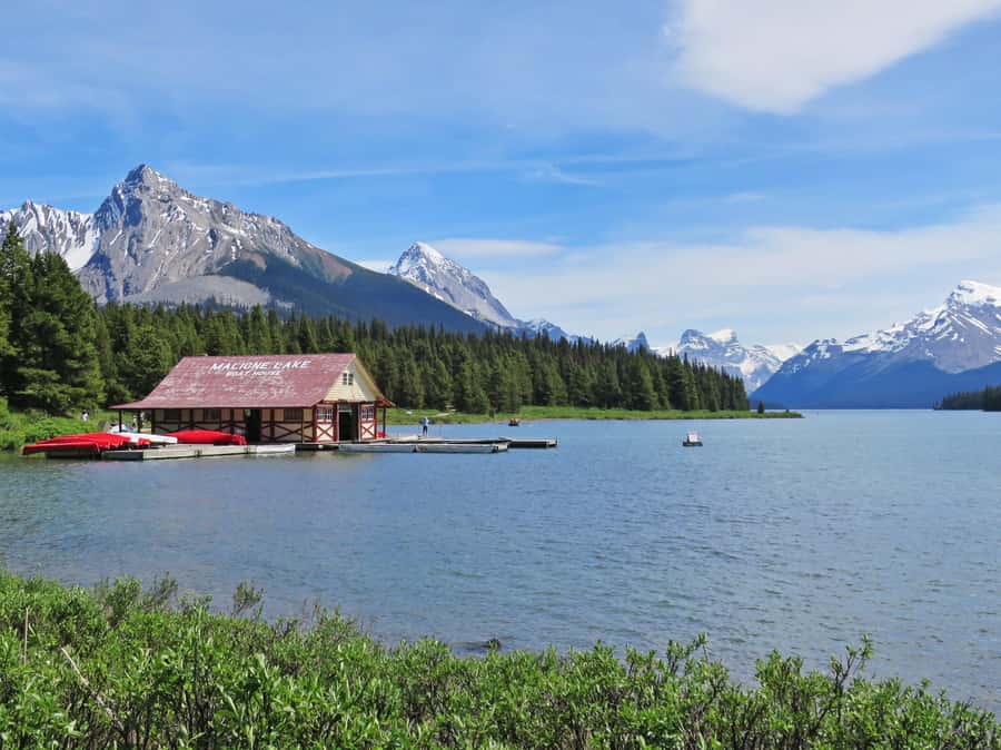Jasper: Wildlife and Waterfalls Tour with Lakeshore Hike - Is $77 good value?