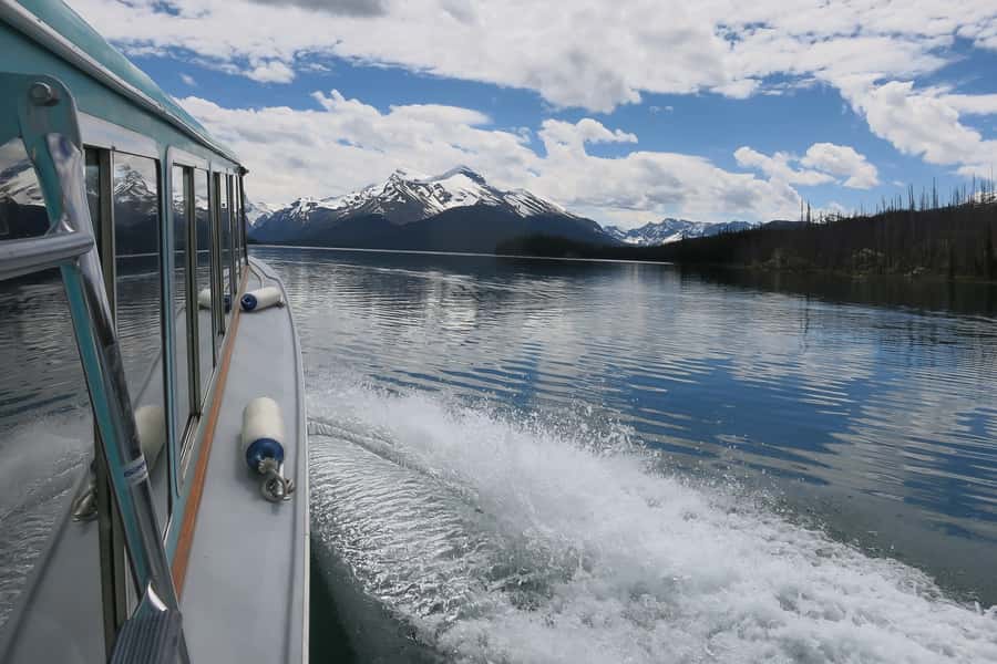 Jasper: Wildlife and Waterfalls Tour with Maligne Cruise - Pickup details you should get right