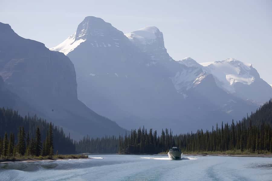 Jasper: Wildlife and Waterfalls Tour with Maligne Cruise - Guides make the difference