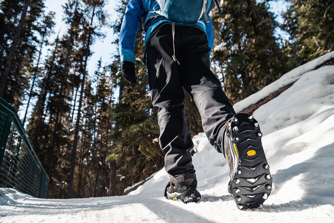 Johnston Canyon Icewalk - The Lower Falls: A Strong First Payoff