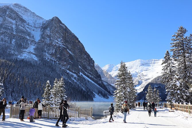 Johnston Canyon, Lake Louise & Banff: Small-Group Day Tour - Banff Avenue: lunch, shops, and a change of pace