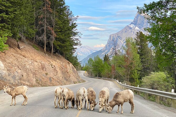 Johnston Canyon, Lake Louise & Banff: Small-Group Day Tour - Surprise Corner and Bow Falls: short stops with strong views