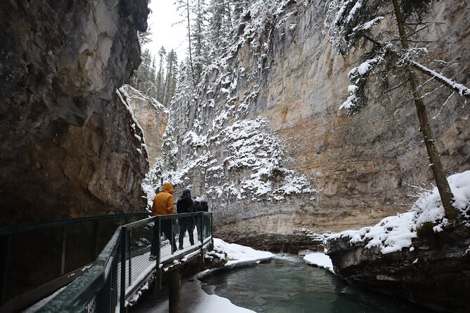 Johnston Canyon, Lake Louise & Banff: Small-Group Day Tour - How the small-group format affects the day