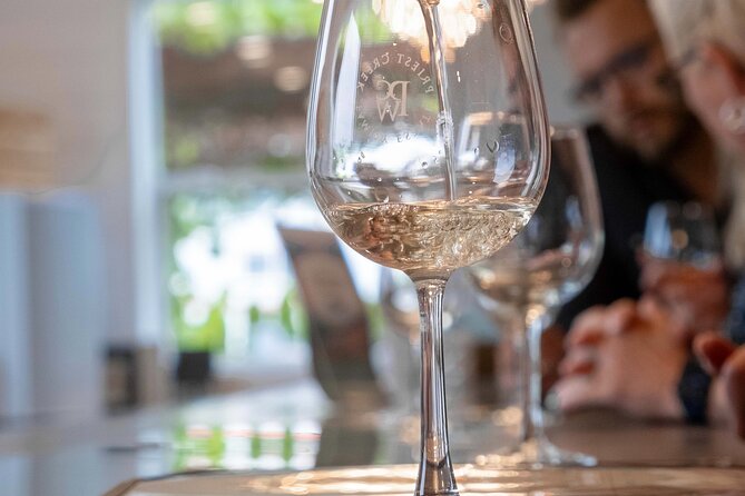 Kelowna Guided E-Bike Wine Tour with Tastings and Okanagan Lunch - The route, views, and riding conditions
