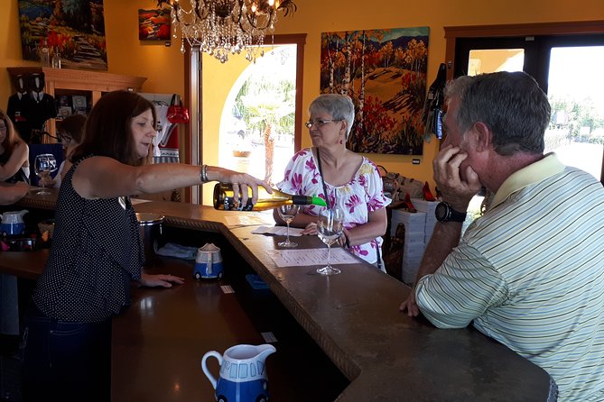 Kelowna or West Kelowna Afternoon Sightseeing Wine Tour - Why this four-hour tour works