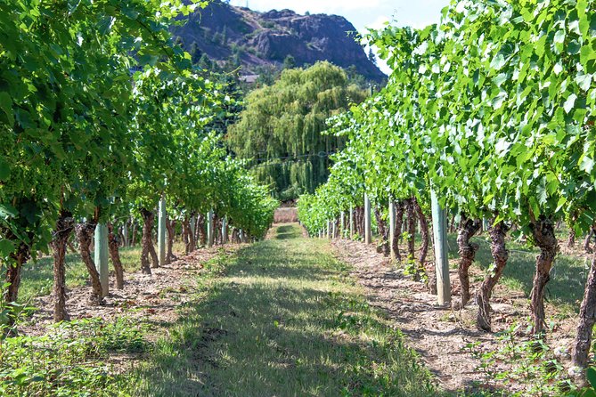 Kelowna or West Kelowna Afternoon Sightseeing Wine Tour - The price, pickup, and group size