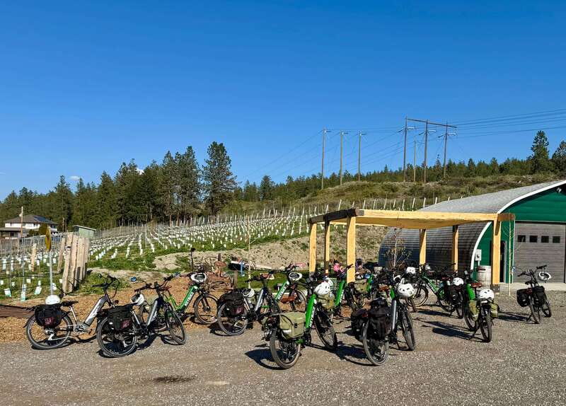 Kelowna: Wine Tasting by E-bike, Smartphone Guide & Lunch - Key points to know before you book