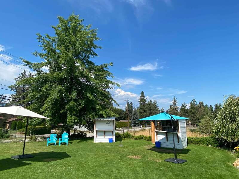 Kelowna: Wine Tasting by E-bike, Smartphone Guide & Lunch - SpearHead Winery adds a second point of view
