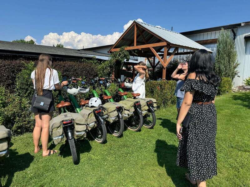 Kelowna: Wine Tasting by E-bike, Smartphone Guide & Lunch - Who will enjoy this most