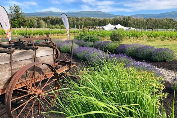 Kelowna Wine Tour by E-bike, Okanagan Valley Views and Lunch - The tour at a glance