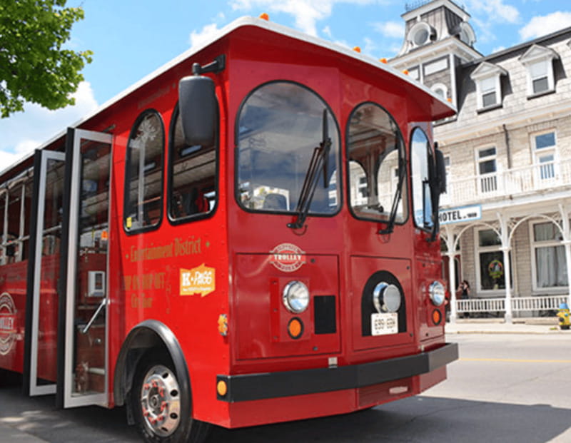Kingston: Trolley City Tour - Who will enjoy this ride most?