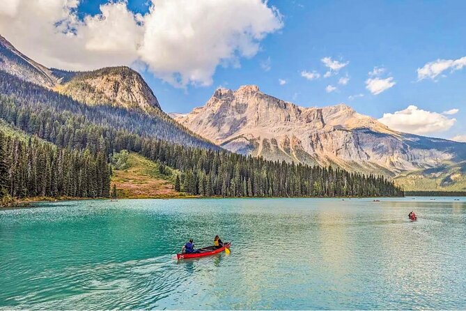 Lake Louise, Moraine/Bow, Emerald & Peyto - 4 Lakes in Banff - Peyto Lake: the viewpoint worth saving energy for