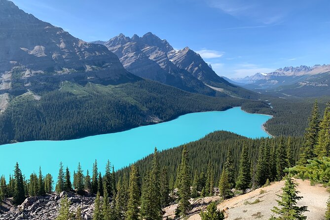 Lake Louise, Moraine Lake and the Icefields Parkway Full-Day Tour - Bow Lake offers quiet after the famous stops