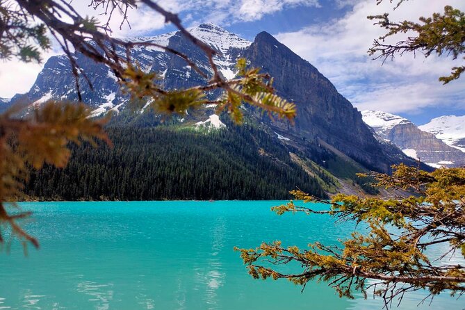 Lake Louise Moraine Lake Johnston Canyon 1.5h Half Day Tour - A good fit for non-hikers and first-time visitors