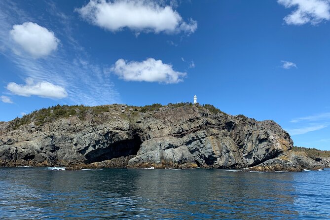Late Season Puffin & Scenic Coastal Cruise - What this Witless Bay cruise is really about