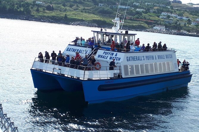 Late Season Puffin & Scenic Coastal Cruise - Stop 2: Bay Bulls and Bull Head