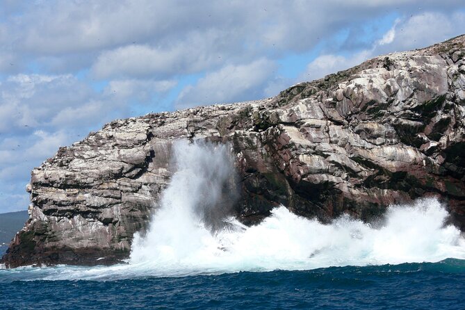 Late Season Puffin & Scenic Coastal Cruise - Stop 3: The Witless Bay Ecological Reserve