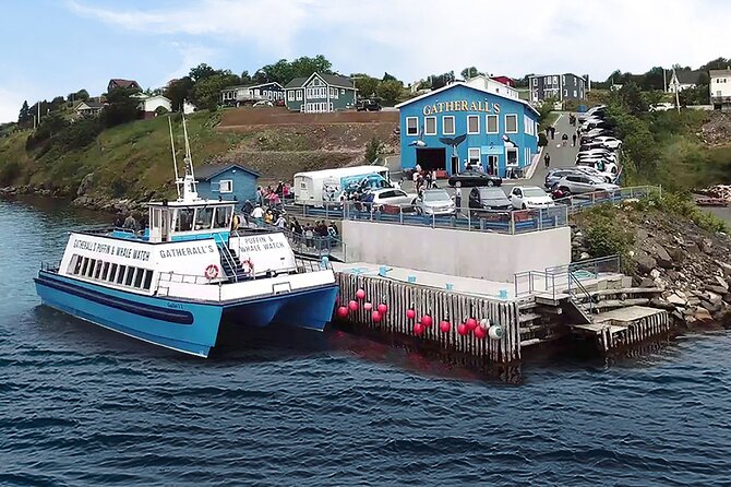 Late Season Puffin & Scenic Coastal Cruise - Comfort, weather, and what to bring
