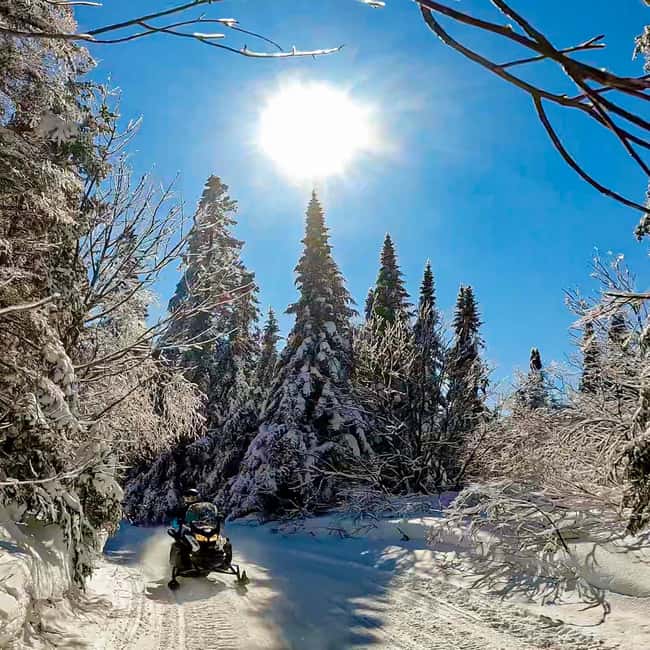 Laurentians: Snowmobile Guided Tour - Quick takeaways for your Laurentians snowmobile ride