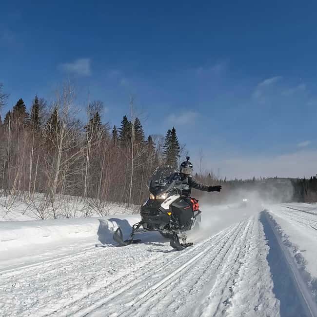 Laurentians: Snowmobile Guided Tour - Who will get the most from this tour