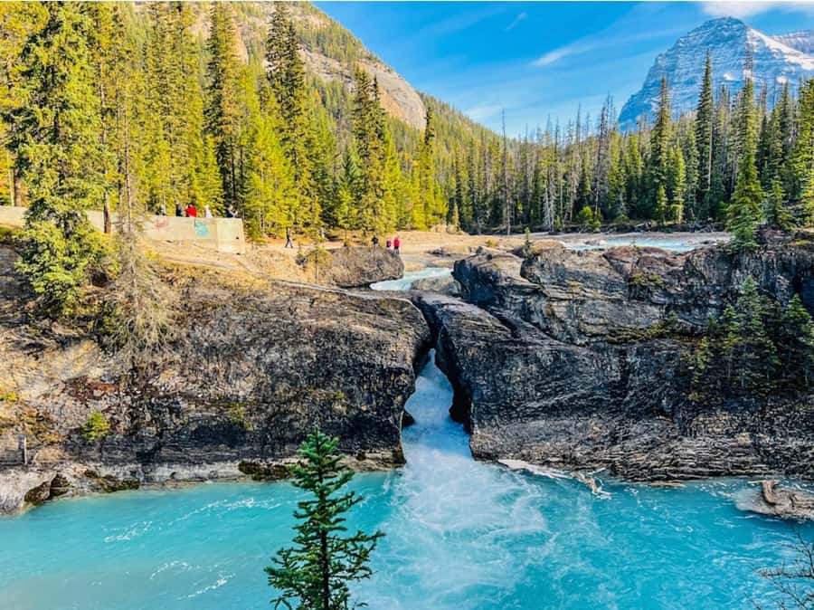 Louise, Moraine/Bow, Emerald, Peyto- 4 Lake Tour - Why this route works for a first Rockies day