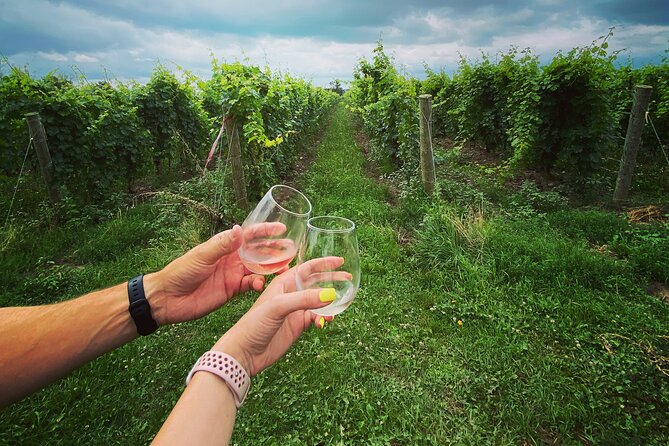 Lunch in the Vineyard: A Scenic Niagara Wine Tour Experience - What lunch adds to the day