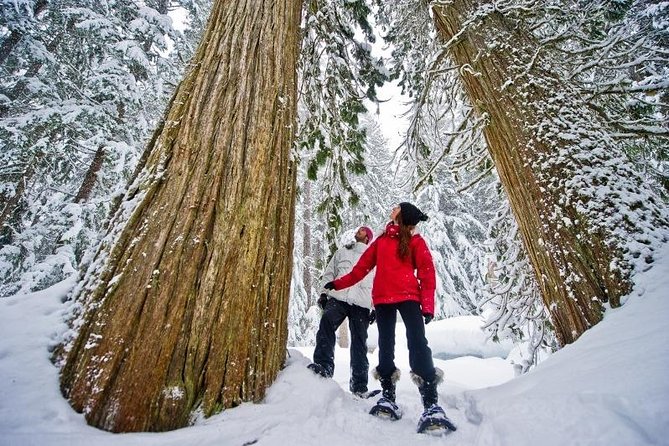 Medicine Trail Snowshoe Tour - What makes this Medicine Trail outing special