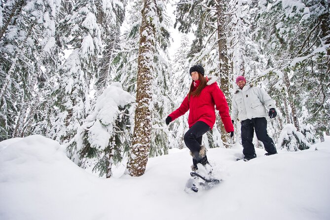 Medicine Trail Snowshoe Tour - Getting started with snowshoes