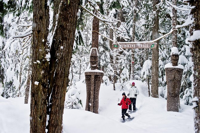 Medicine Trail Snowshoe Tour - Following the old trapper’s route