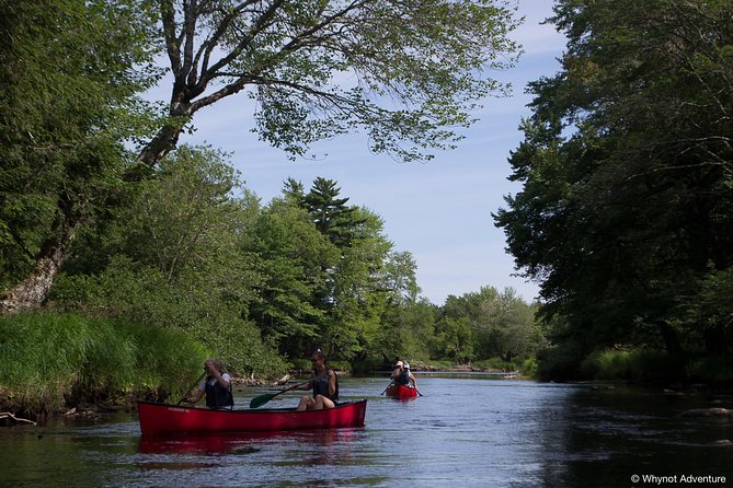 Mersey River Quickie Adventure - 2 Hours - What the route feels like for beginners