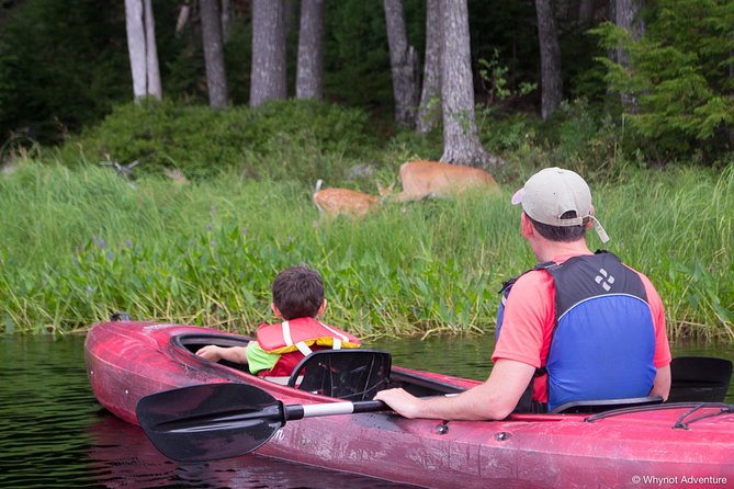 Mersey River Quickie Adventure - 2 Hours - Timing, weather, and what to bring
