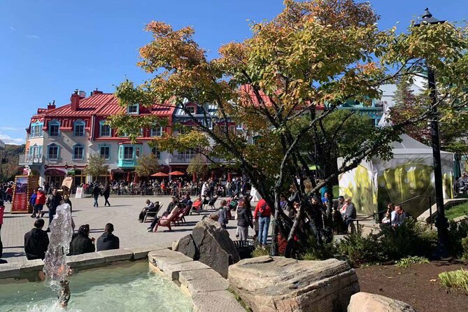 Mont-Tremblant 1 Day Tour - Five hours at Parc National du Mont-Tremblant