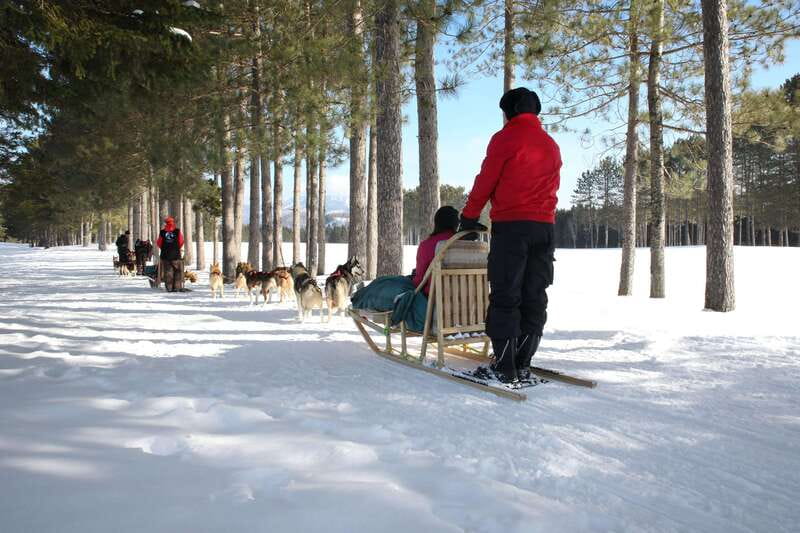 Mont-Tremblant: Guided Dogsledding Tour with Hot Chocolate - The one-hour route through pine forest and valley trails