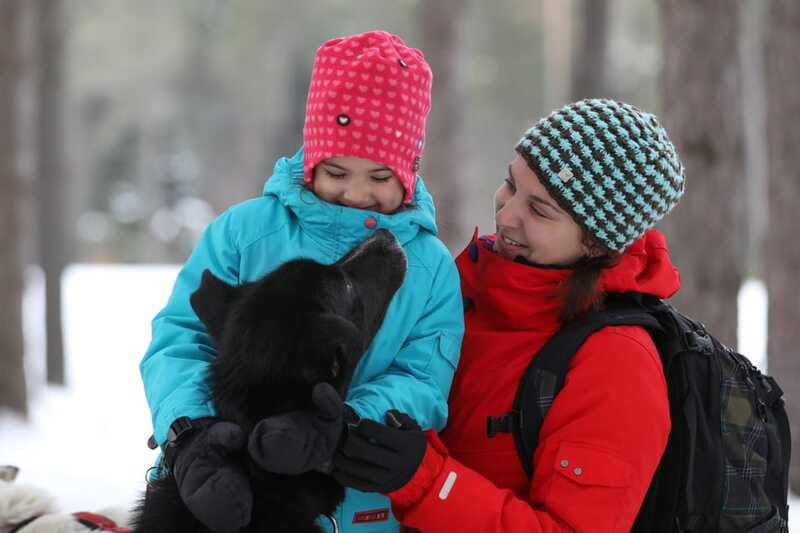 Mont-Tremblant: Guided Dogsledding Tour with Hot Chocolate - Switching from driver to passenger