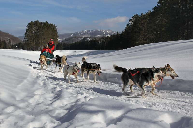 Mont-Tremblant: Guided Dogsledding Tour with Hot Chocolate - What to wear for a cold, active outing