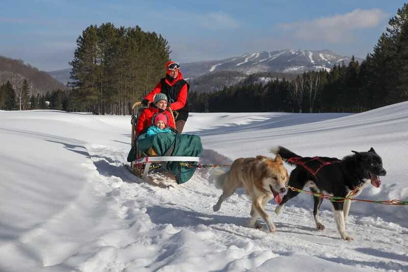 Mont-Tremblant: Guided Dogsledding Tour with Hot Chocolate - Is $213 a fair price for one hour?