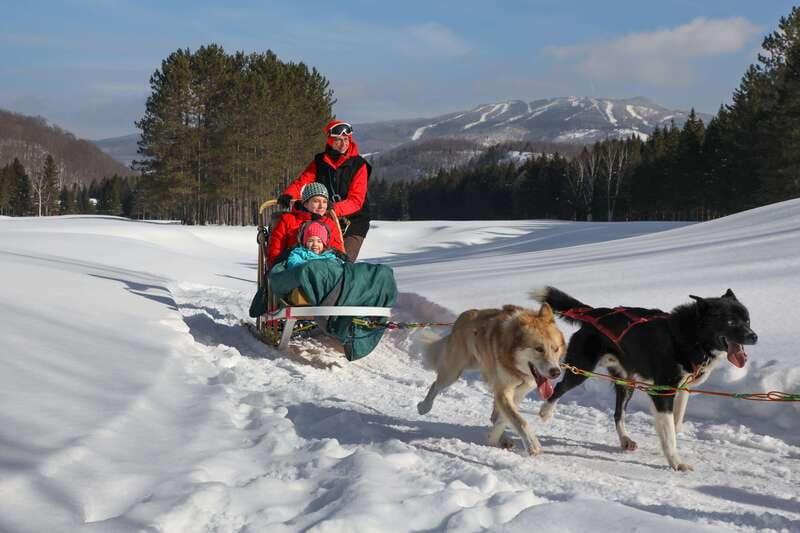 Mont-Tremblant: Guided Dogsledding Tour with Hot Chocolate - Learning to drive a team of sled dogs