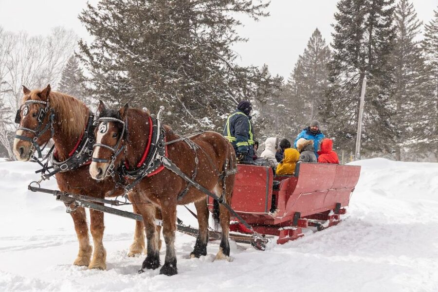 Mont-Tremblant: Sleigh Ride w/ Storytelling & Hot Chocolate - Who will enjoy this ride most