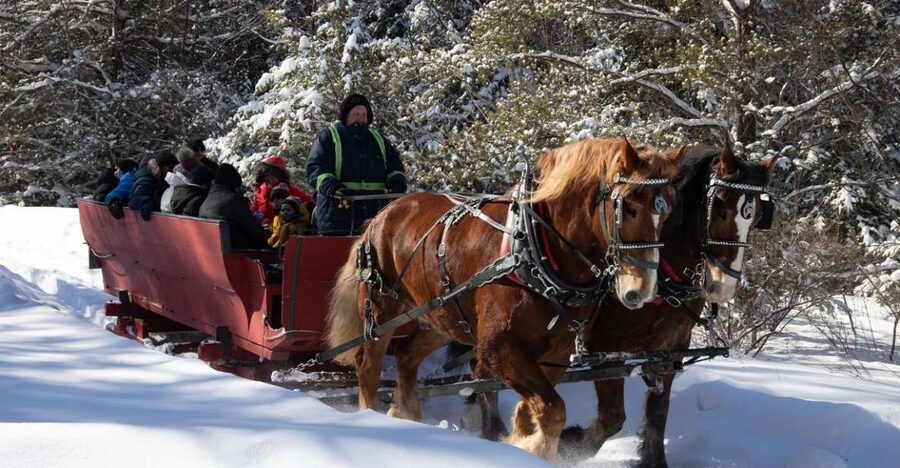 Mont-Tremblant: Sleigh Ride w/ Storytelling & Hot Chocolate - Starting at the white shack beside the tennis courts